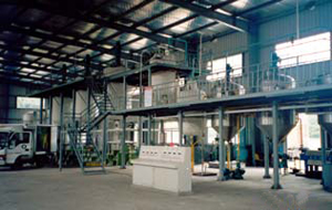 Oil Mill Plant